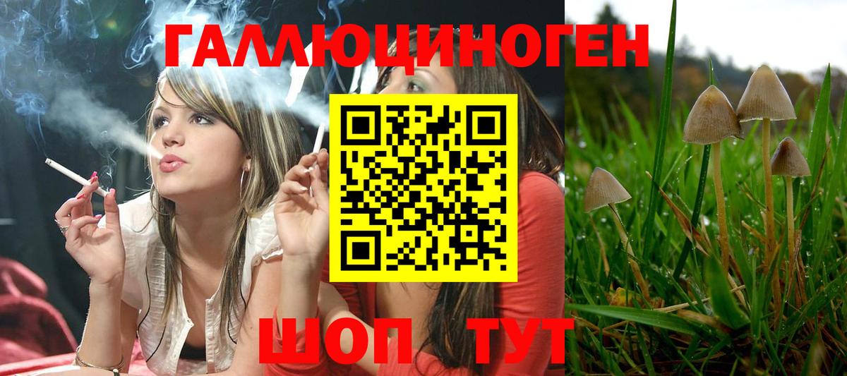 Псилоцибиновые грибы мицелий  Вход с VPN  Орехово-Зуево  Галлюциногенные грибы ЛСД 